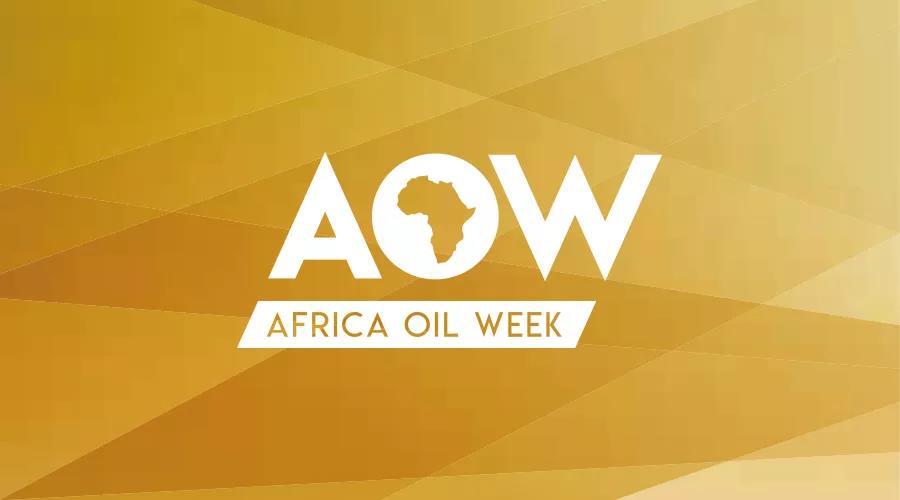 15国石油部长确认出席2019非洲石油周