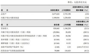 中石油上半年净亏损300亿