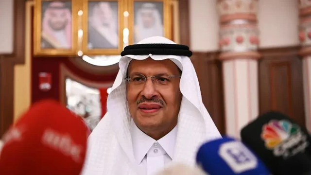 全球最大石油公司沙特阿美在该国北部发现两个新油气田