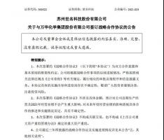 万华化学一季度​实现营收313.12亿元，加速新材料、精细化学品布局！