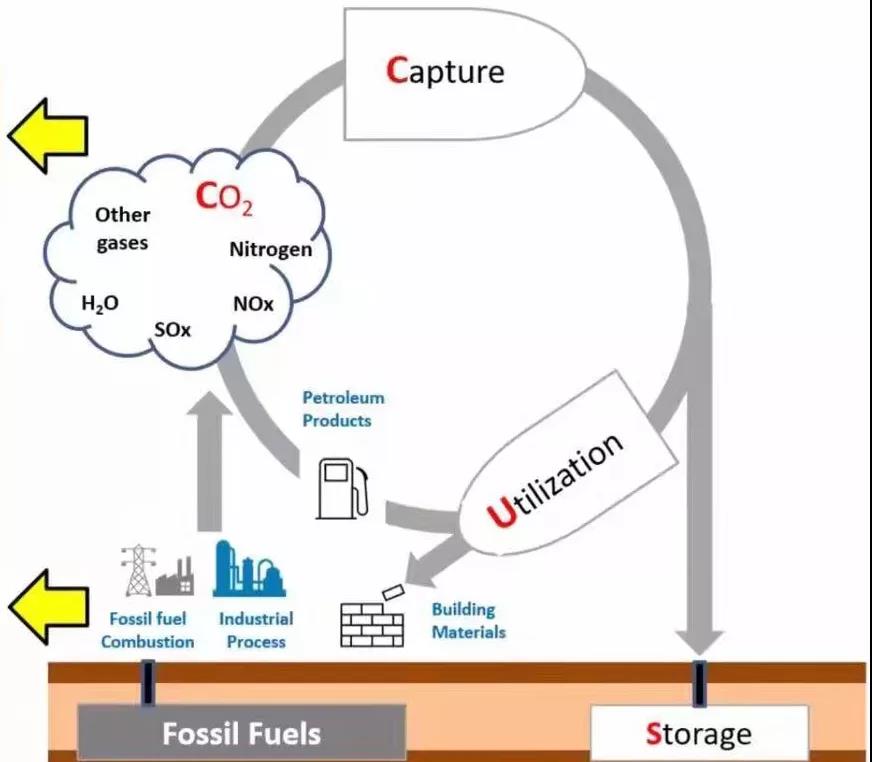 “双碳”目标下，石化业者该如何自处？