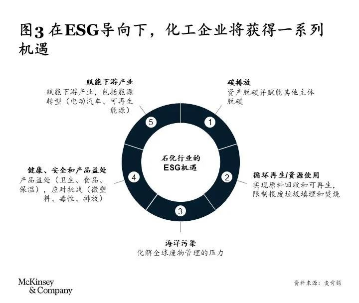 双碳目标下，石化行业如何把握投资机遇