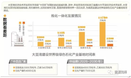 大亚湾是如何逐步成为国内规模最大的炼化一体化石化基地的？