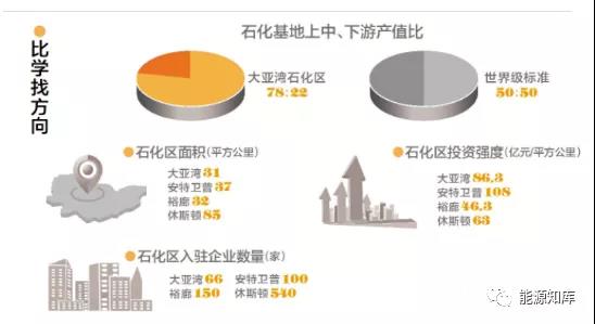 大亚湾是如何逐步成为国内规模最大的炼化一体化石化基地的？