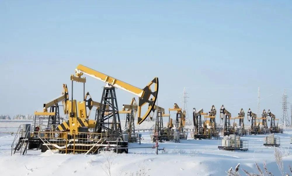 中国石化首次发布在俄可持续发展报告