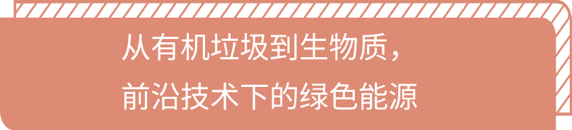 低碳化无碳化，威立雅推动绿色能源循环——绿色低碳国际合作委员会理事单位案例分享（一）