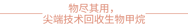 低碳化无碳化，威立雅推动绿色能源循环——绿色低碳国际合作委员会理事单位案例分享（一）