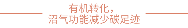 低碳化无碳化，威立雅推动绿色能源循环——绿色低碳国际合作委员会理事单位案例分享（一）