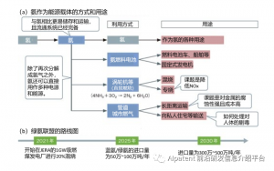 日本零碳氨进口规模将高达100万吨！“氨能社会”或将早于“氢能社会”实现