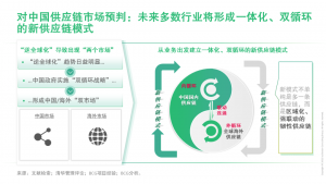 “区域化、强韧性”——全球供应链再布局 （上）：建设国内区域化供应链