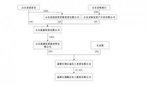 重磅！齐翔腾达迎来国资“新东家”