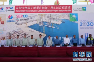 中企参建的沙特国王港项目陆域工程全面完成